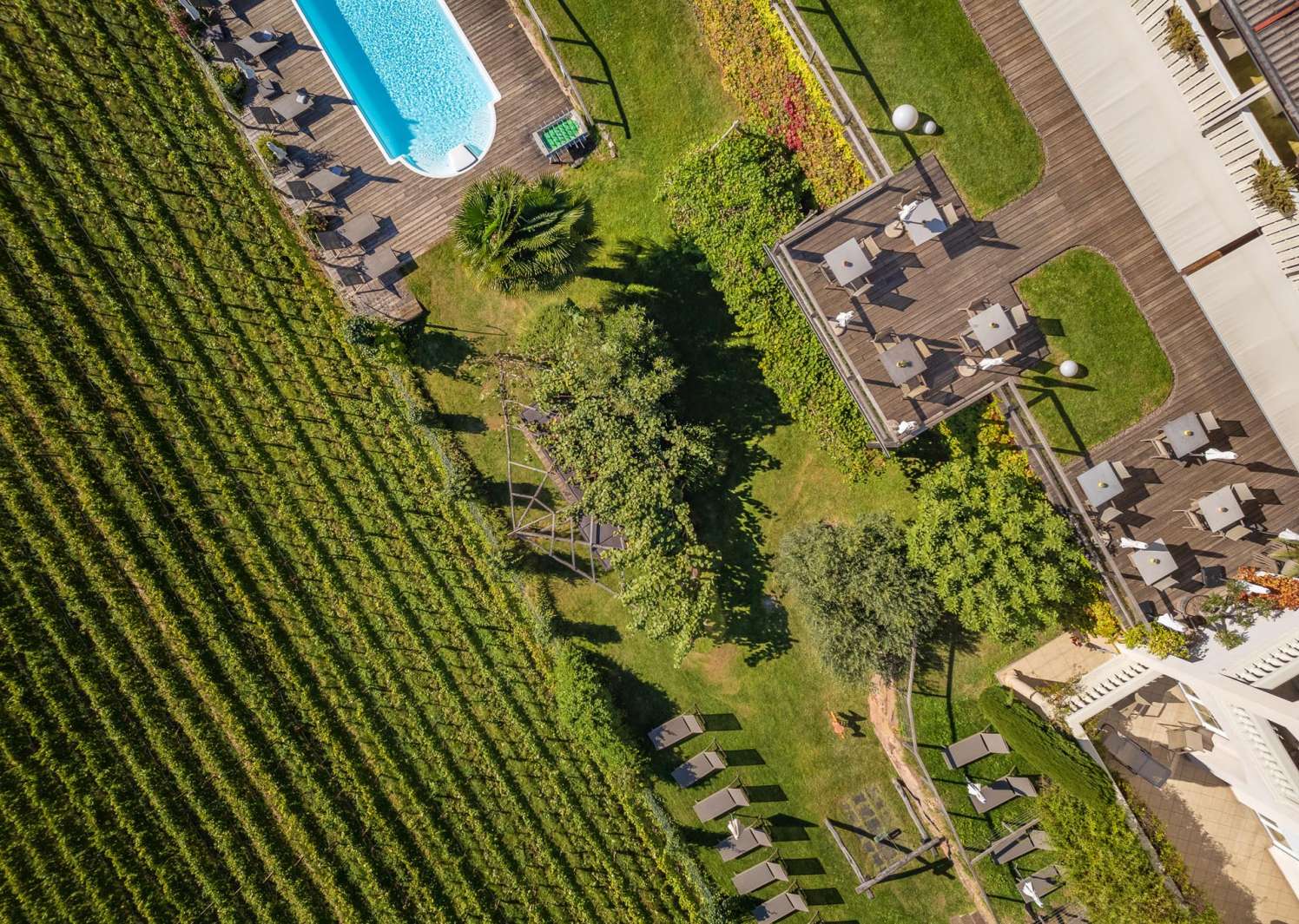 20211014-120929-DJI_0381
